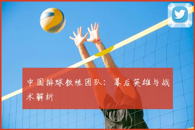 中国排球教练团队：幕后英雄与战术解析